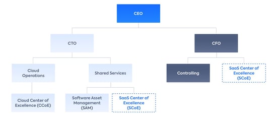 SaaS Center of Excellence placement within an organization