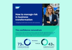 Managing business transformation risks 