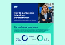 Managing business transformation risks 