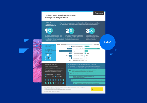 EMEA-Awareness-Infographic-1600x1123