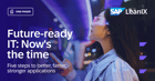 Poster: 5 Steps to Application Modernization - https://www.leanix.net/hubfs/2024-Website/content/one-pager/1P-5-Steps-to-Application-Modernization/EN/EN-FI-1P-5-Steps-to-Application-Modernization-B.png