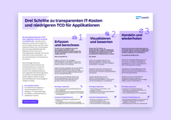 Drei Schritte zu transparenten IT-Kosten und niedrigeren TCO für Applikationen