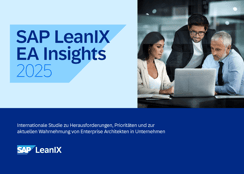 SAP LeanIX EA Insights 2025
