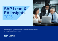 SAP LeanIX EA Insights 2025