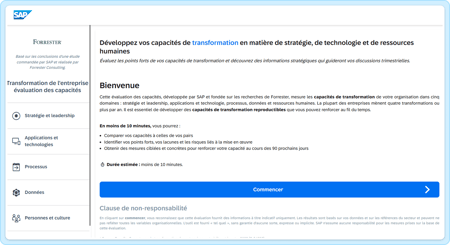 FR-Business-Transformation-Maturity-Assessment-Screenshot