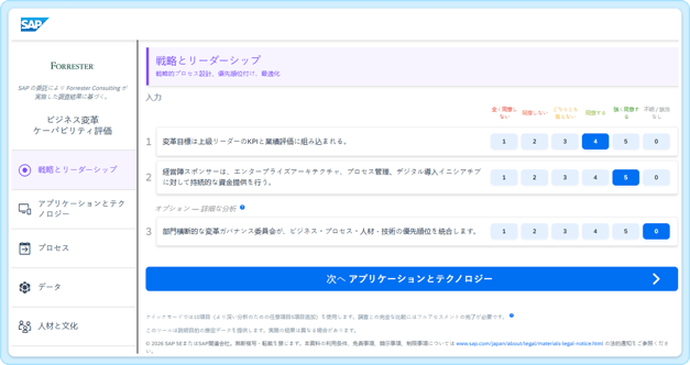 JP-Business-Transformation-Maturity-Assessment-Screenshot