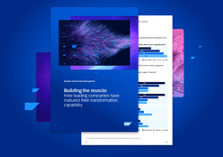 Building the muscle: How leading companies have matured their transformation capability