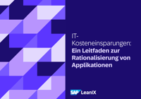 Kosteneinsparungen in der IT: Ein Leitfaden zur Rationalisierung von Applikationen