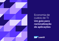 Um guia para racionalização de aplicações