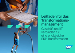 Leitfaden für das Transformationsmanagement