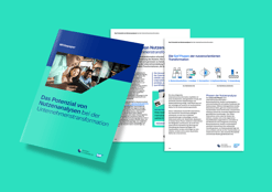 Wertidentifikation im Business Transformation Management