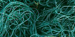 Application Rationalization: Is Complexity Avoidable?