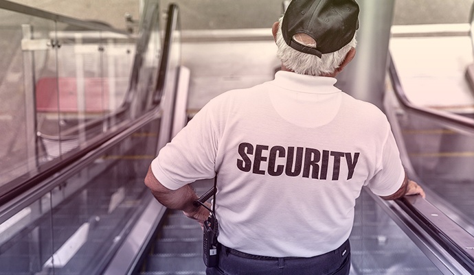 Streamlined IT Security Management with LeanIX Survey