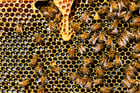 BlogPost 5254666073 If You Have yet to Think About Microservices, You Are Already Behind