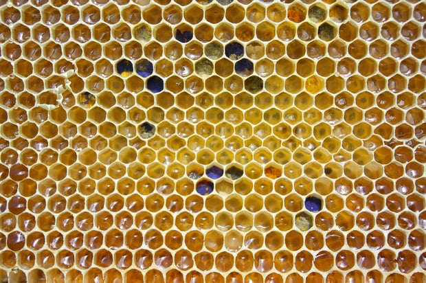 Microservices and other Trends