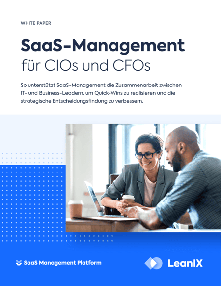 SaaS-Management für CIOs und CFOs