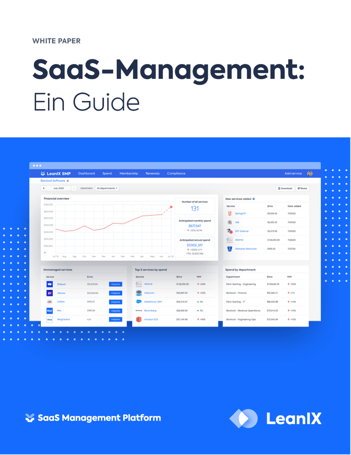 SaaS-Implementierung