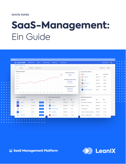 SaaS-Management:<br>Ein Guide