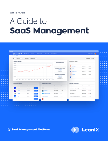 SaaS Management