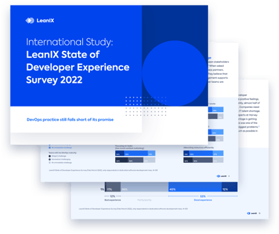 2022 State of Developer Experience Survey by LeanIX