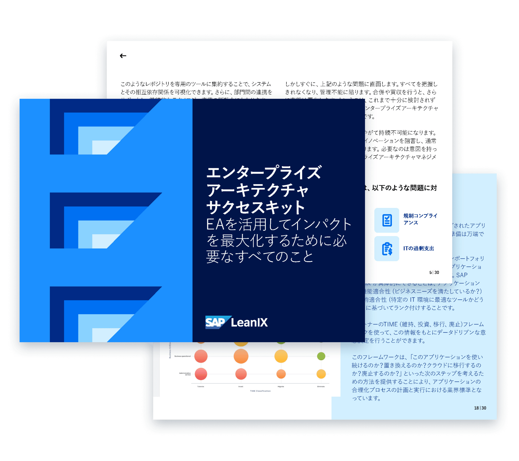 LeanIX-EA-Success-Kit-JP-layout image