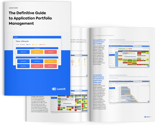 The Definitive Guide to Application Portfolio Management