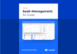 SaaS-Management: Ein Guide
