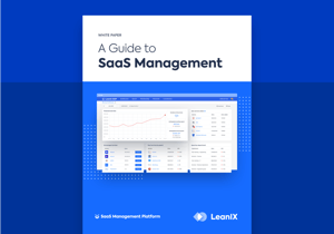 SaaS Management guide