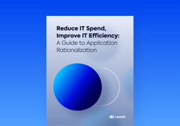 IT Cost Savings: A Guide to Application Rationalization