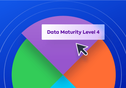 EA Maturity Assessment