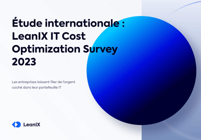 LeanIX IT Cost Optimization Survey 2023