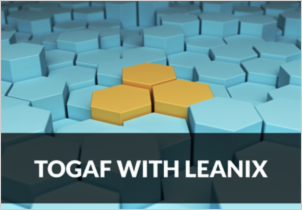 TOGAF with LeanIX