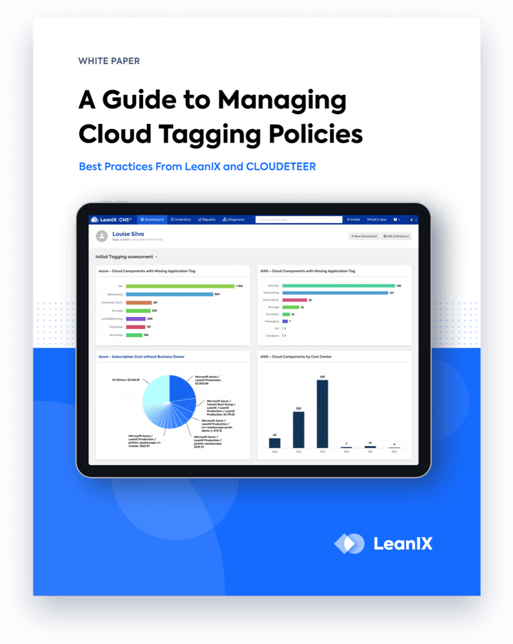 Cloud Tagging The Definitive Guide LeanIX