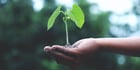 BlogPost 127392087299 Enterprise Architecture Maturity: 5 Steps To Grown-Up EA