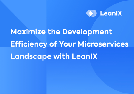 Maximize the development efficiency of your microservices landscape with LeanIX