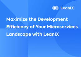 Maximize the Development Efficiency of Your Microservices Landscape with LeanIX