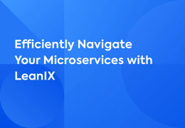 Efficiently Navigate your Microservices with LeanIX