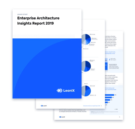 Enterprise Architecture Insights Report