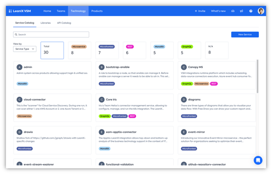 LeanIX-VSM-Discovery-View