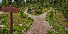 SaaS Vs Managed Services: What's Best For You?