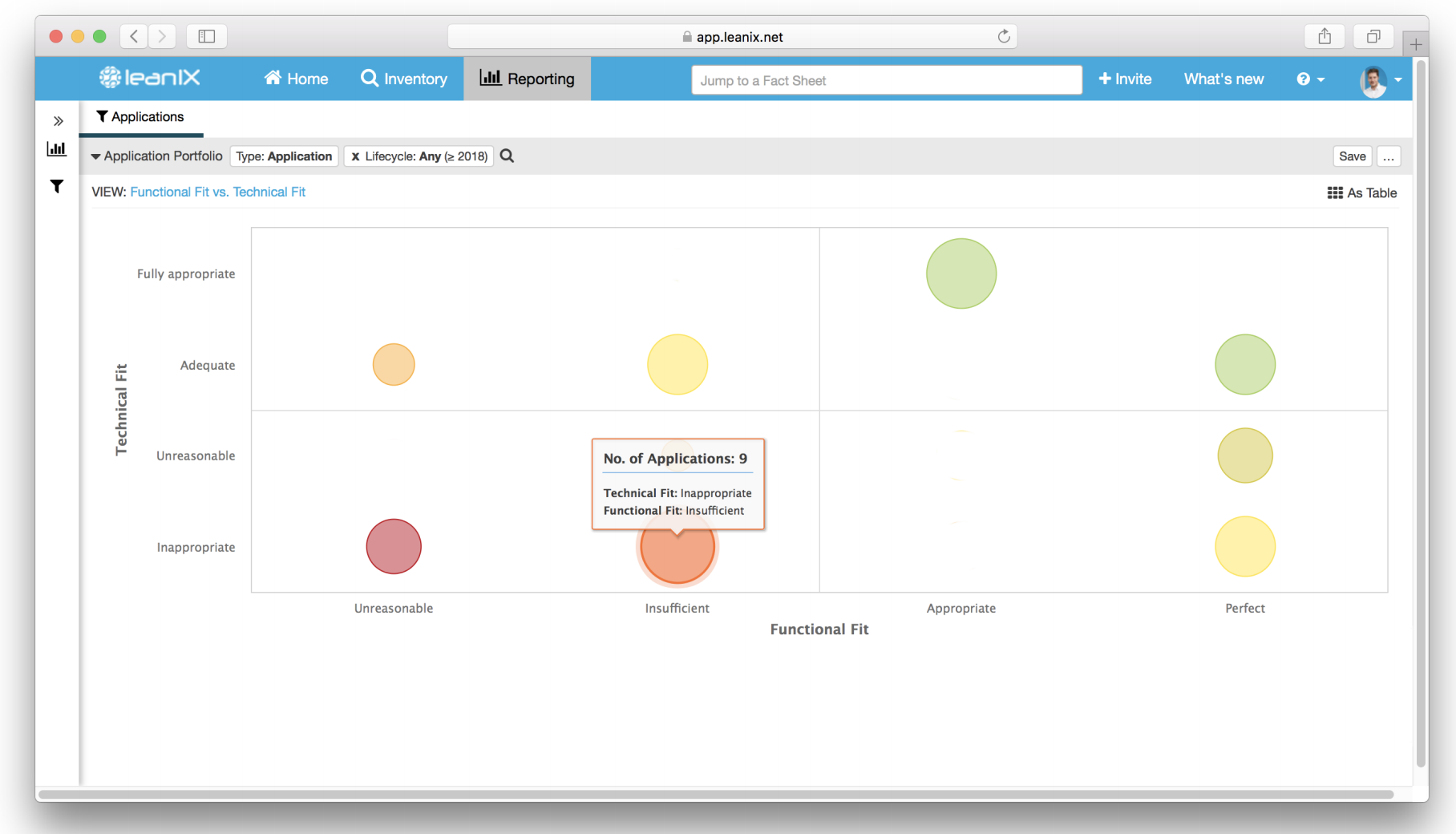 Application portfolio report