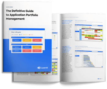 Application Portfolio Management 