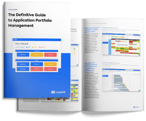 Application Portfolio Management