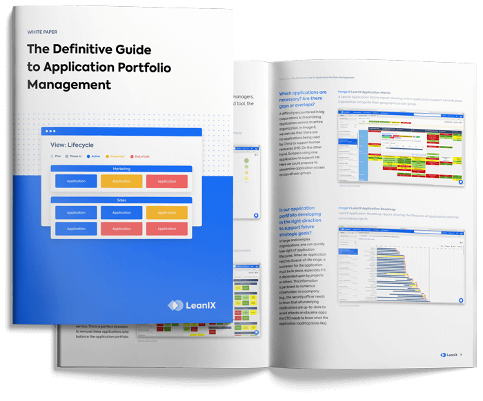 Managing Business Intelligence Applications Portfolio