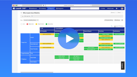 Microservices Intelligence