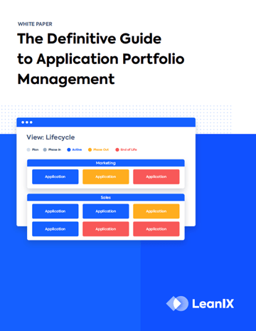 Application Portfolio Management 