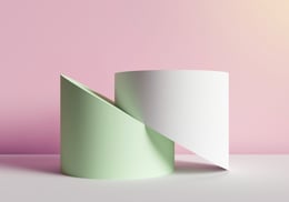 Software Asset Management