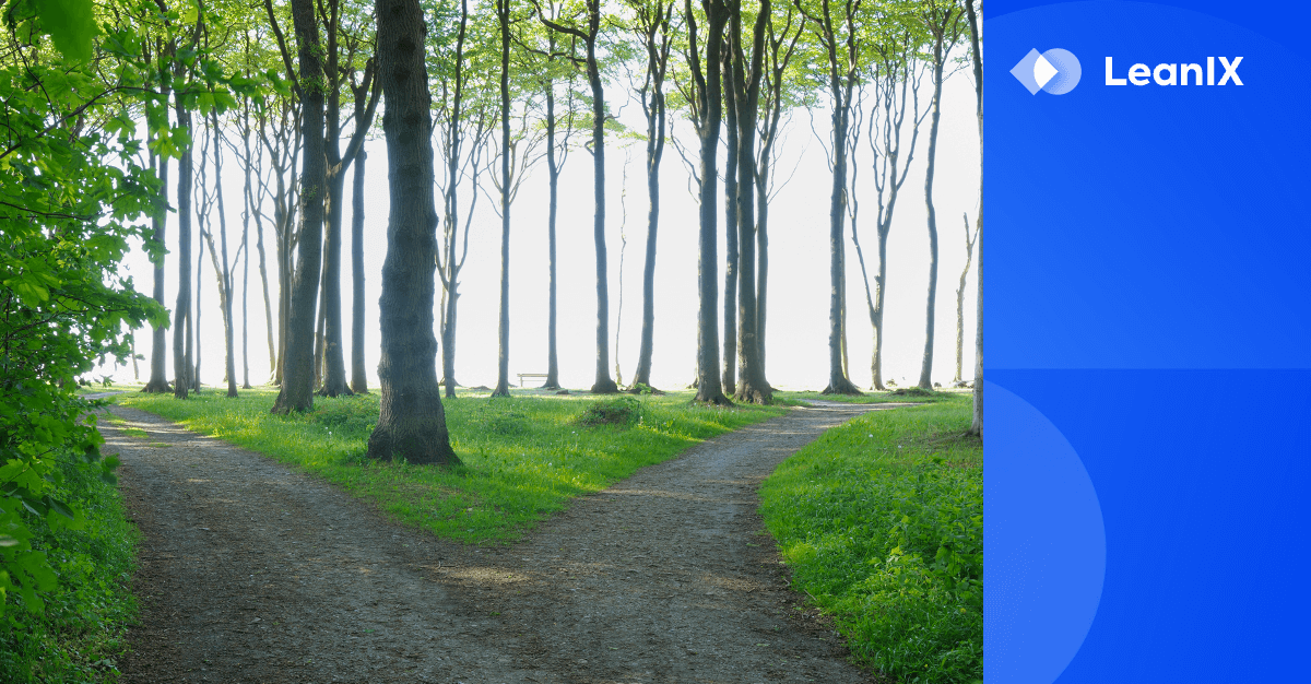 Great Enterprise Architects Offer Decisions, Not Detail