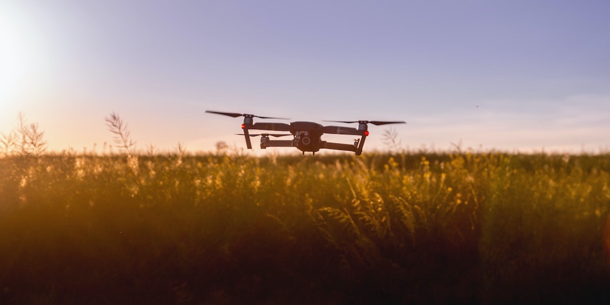 Is Generative AI The Solution For Sustainable IT?