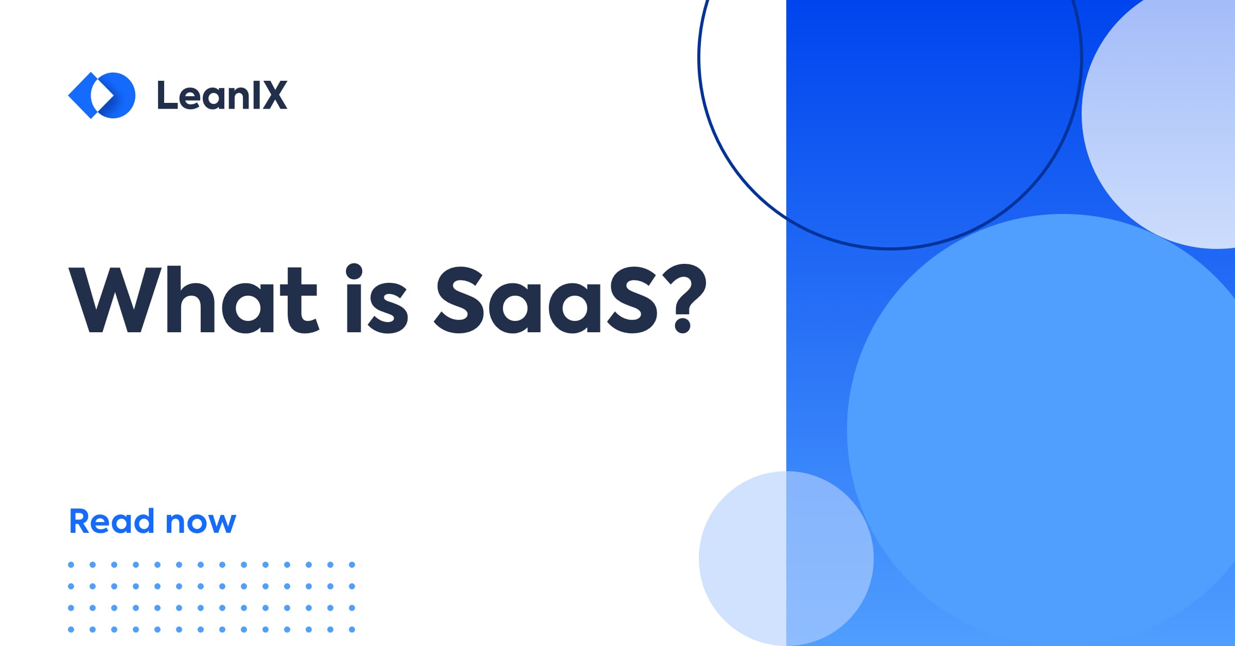 What Is Saas Software As A Service Explanation Faqs Leanix What Is Saas Software As A Service Explanation Faqs Leanix